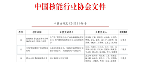 中核协科技进步二等奖-封面.png